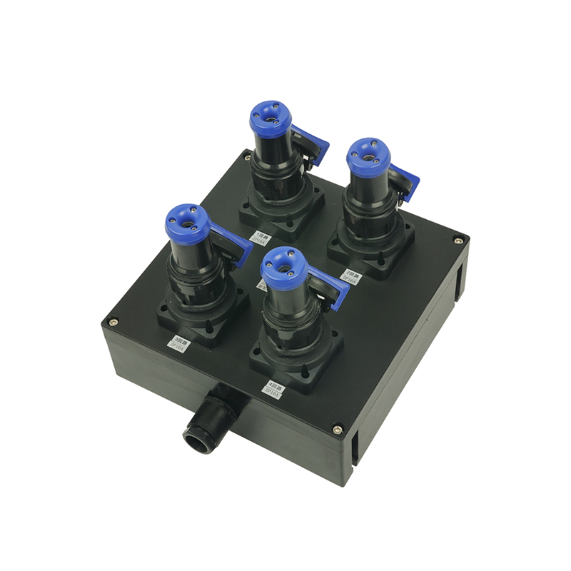 CBP8060-Z系列防爆防腐電源插座箱（IIC tD）